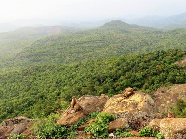 trekking place in mysore